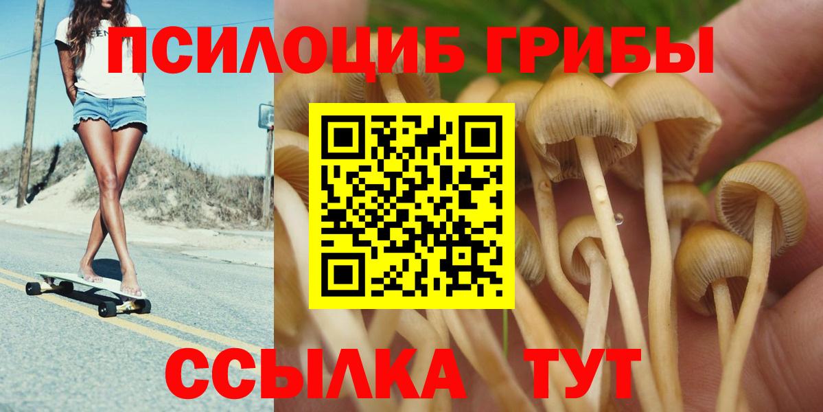 Псилоцибиновые грибы мицелий  Вход с VPN  Галлюциногенные грибы MAGIC MUSHROOMS  Севастополь 